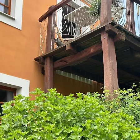 Toplage Historisches Altstadthaus Schwarzer Kater Apartment